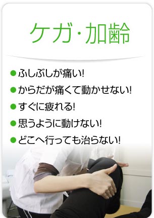 整体師コースの案内