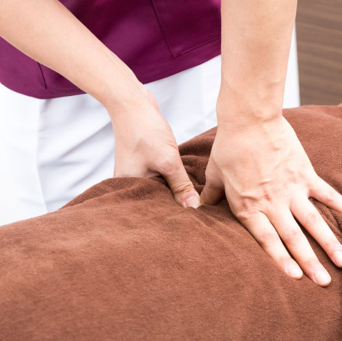 整体師再生計画